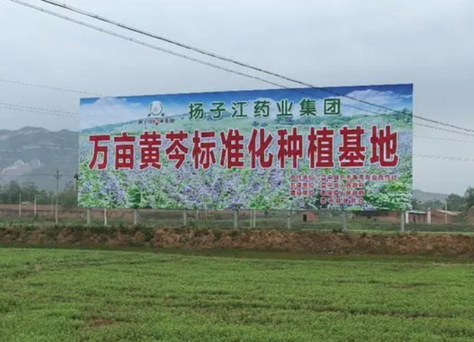 揚子江藥業(yè)：彰顯藥企責(zé)任擔(dān)當(dāng) 掌握精準扶貧“金鑰匙”